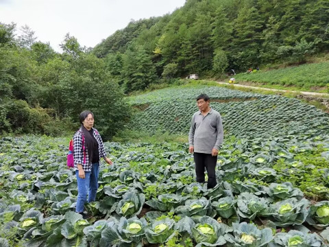 落实三条措施  抓实抓细“三区”人才项目