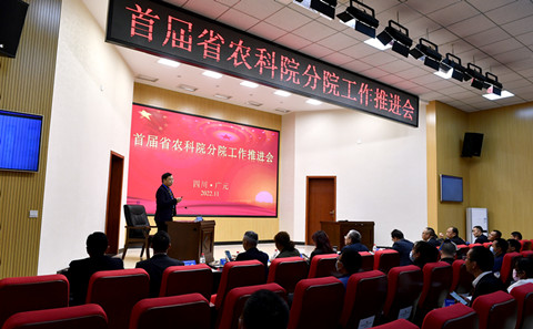 首届分院工作推进会_副本.jpg