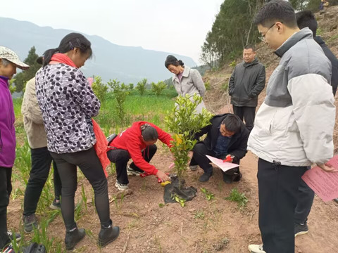 送技术下乡.jpg