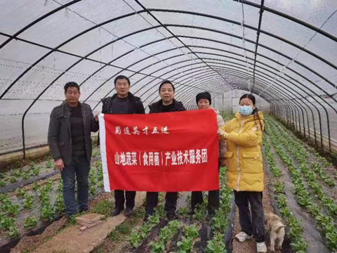 山地蔬菜产业技术服务团 赴蔬菜生产基地开展技术指导