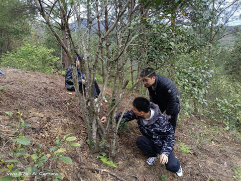 资源调查 古韵悠扬