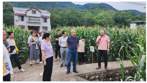 学精神、讲党课、抓共建、比业务