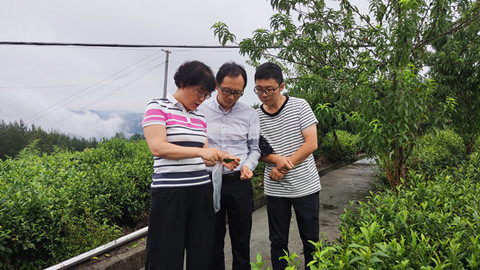 市农科院以实际行动贯彻习近平总书记来广视察重要指示精神