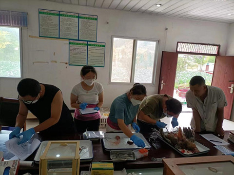 市农科院组织开展剑门关土鸡无抗养殖试验采样行动