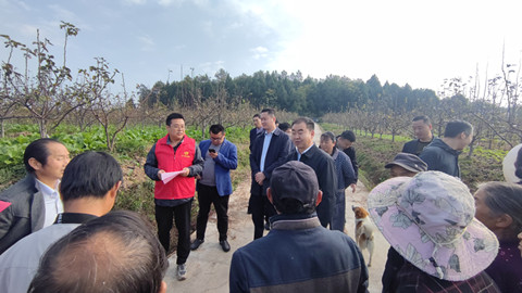 玉龙村3_副本.jpg