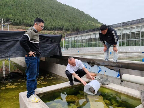 隔离入侵生物 保护生态环境