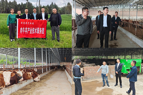 强化科技支撑助力肉牛羊产业高质量发展