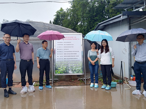 20240525农业重大技术协同推广计划项目首席专家来广指导-郑明霞教授_副本.jpg