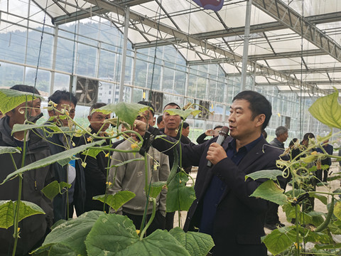 在昭化开展设施蔬菜生产技术培训2_副本.jpg
