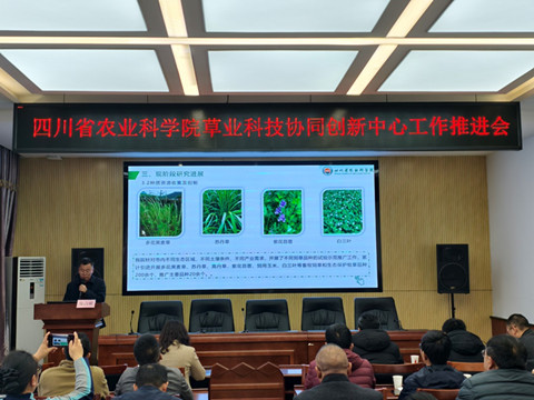 参加四川省农业科学院科技协调创新中心学术研讨会2_副本.jpg