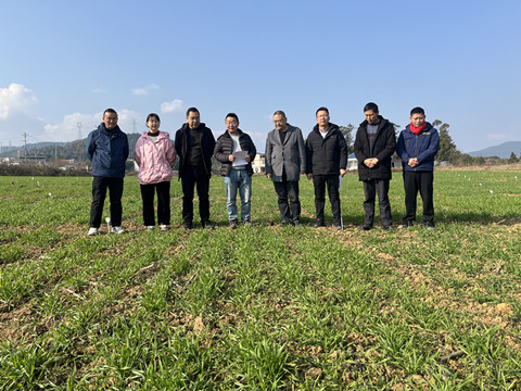 四川小麦品审委员会专家组到广元开展小麦区试苗期考察