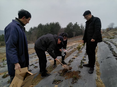 积极推进紫茶产业示范园1_副本.jpg