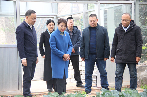 格日乐副市长来院调研4_副本.jpg