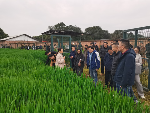 广元市农科院赴成都参加“畜牧业转型升级发展技术交流会”