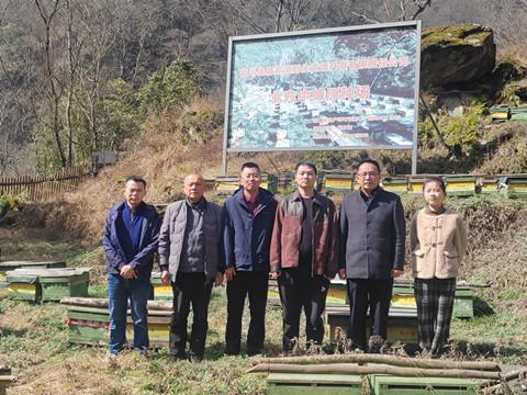 市农科院指导唐家河北方中蜂原种场蜜蜂管理工作