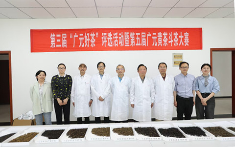 市农科院首次成功承办广元斗茶大赛