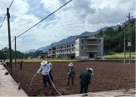完成春玉米播种1.png