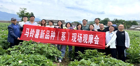 市农科院马铃薯育种取得新进展_副本.jpg