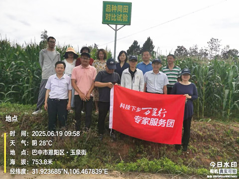 玉米专家赴巴中指导2_副本.jpg