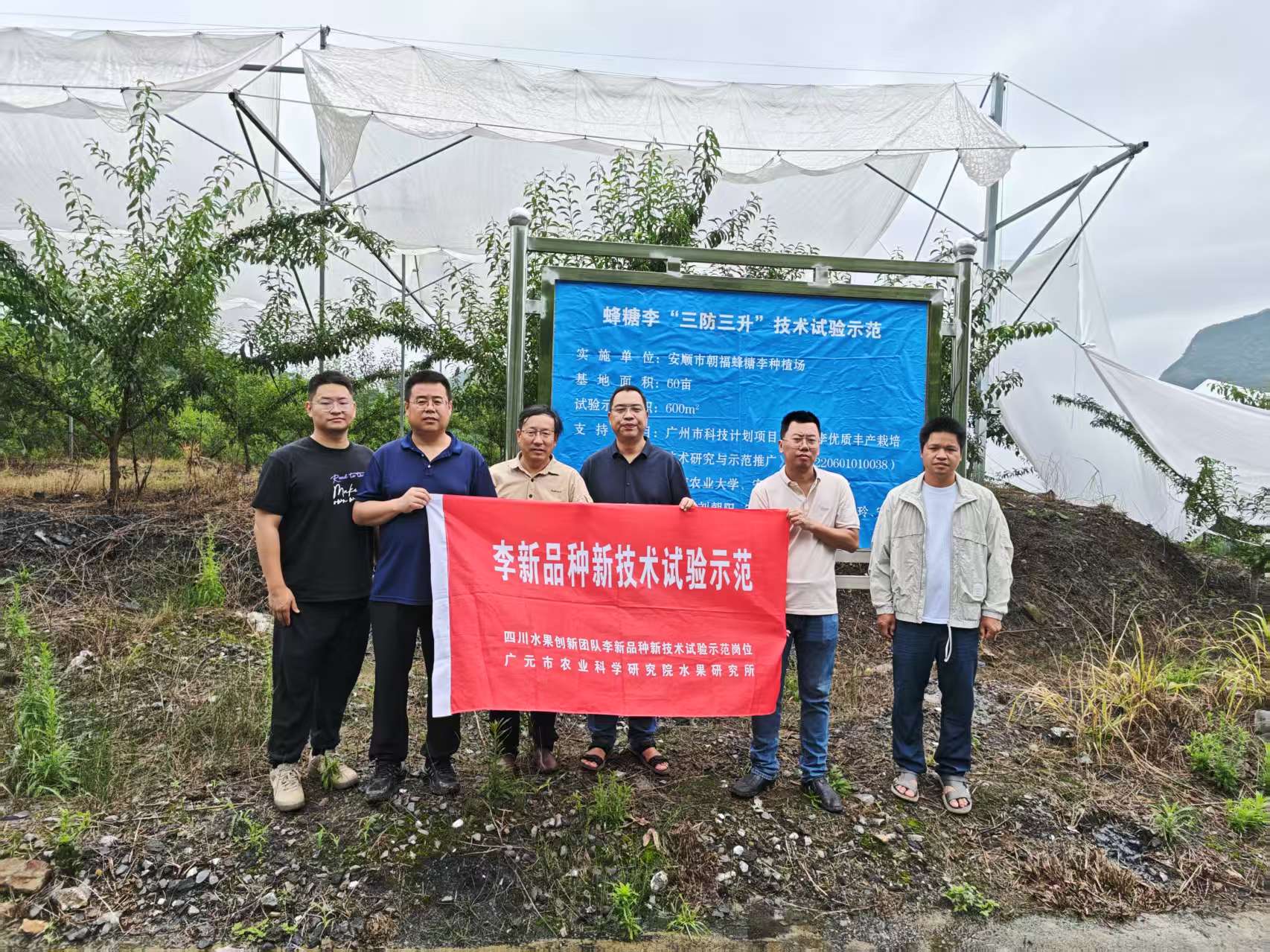 川黔专家携手共促蜂糖李产业发展