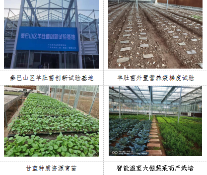 市农科院智能温室大棚试验示范基地