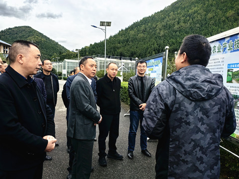 20251107市政府副市长张勋图来农科院调研_副本.jpg