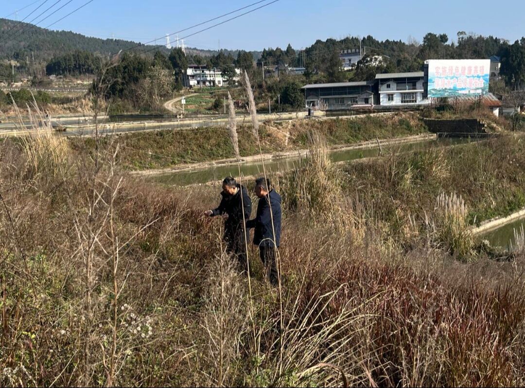 抢抓时节忙施肥 种质寻源强根基