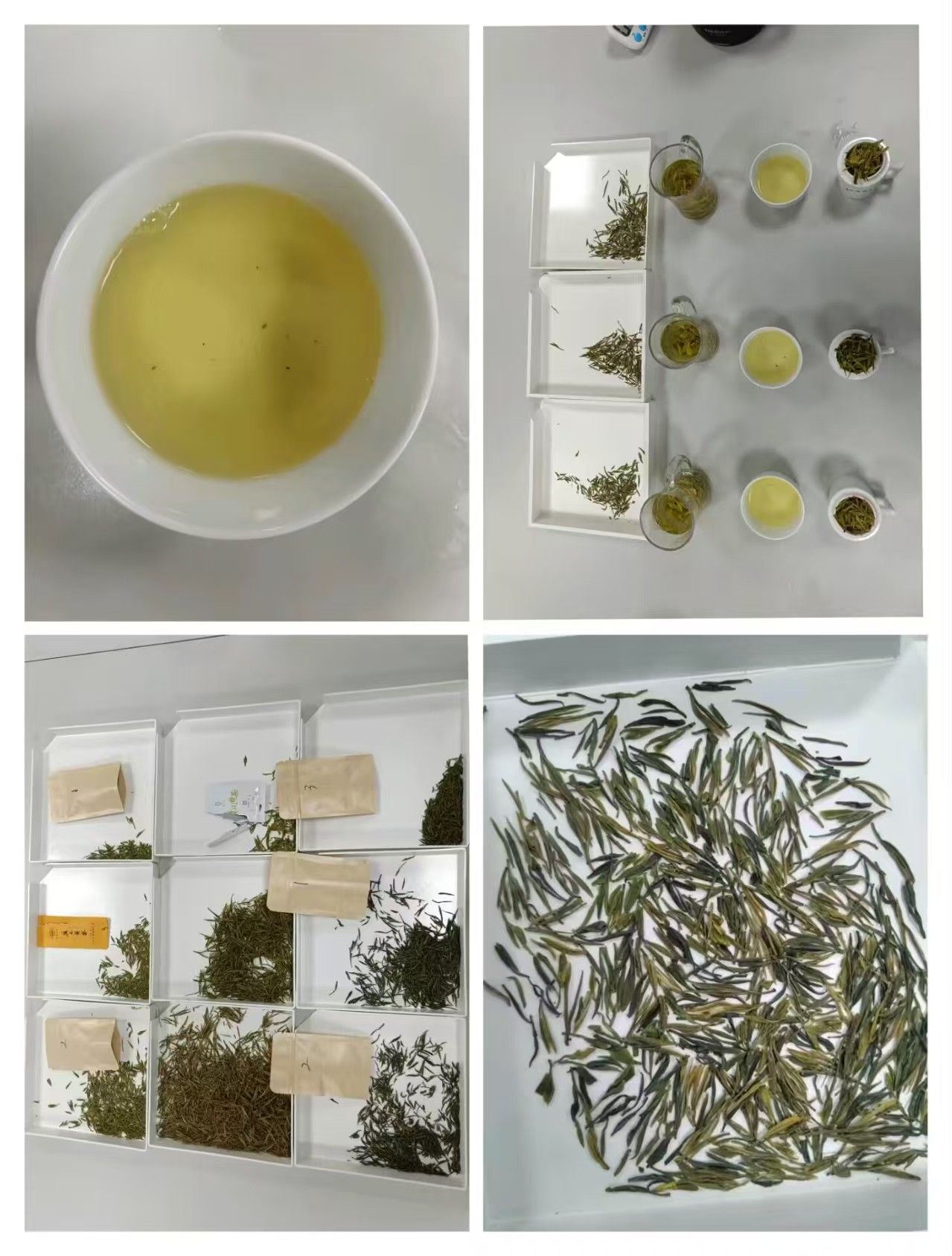 市农科院茶叶所支持研发新产品