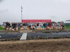 市农科院粮油所职工赴邛崃参加DUS测试技术培训