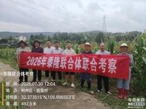 20260730粮油所信息-省种子站组织专家赴广元市农科院荣山镇试验基地检查指导工作1jpg.jpg