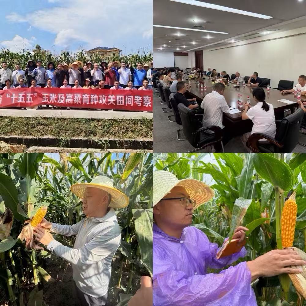 微信图片_20260803160023_37_307.jpg